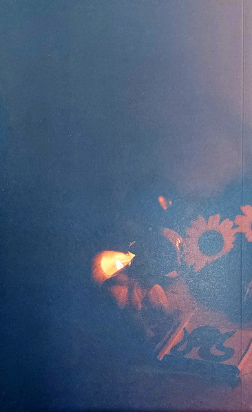 Pink Elephant - Arcade Fire