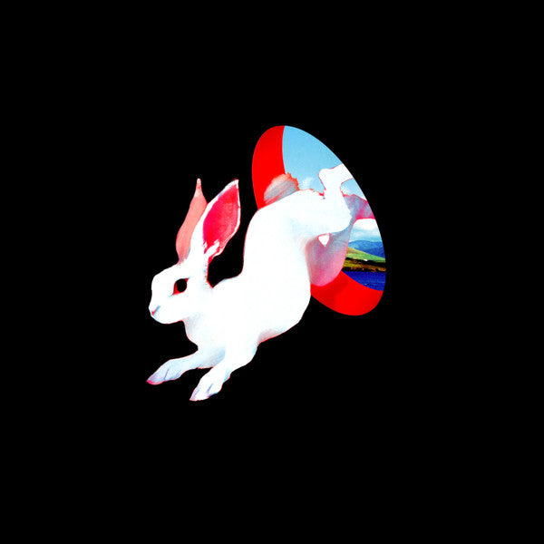 Animal Hospital - Ganser