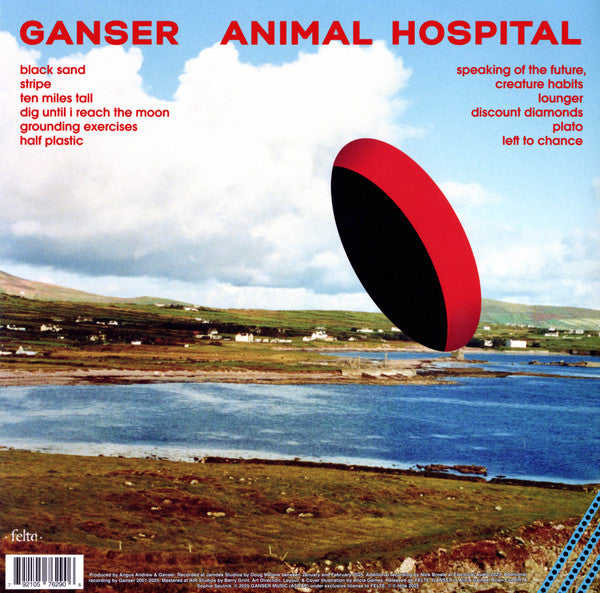 Animal Hospital - Ganser