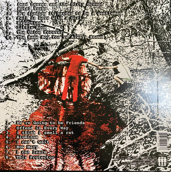 White Blood Cells - White Stripes, The