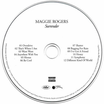 Surrender - Rogers, Maggie