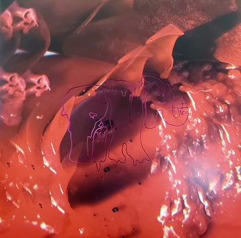 Pink Elephant - Arcade Fire
