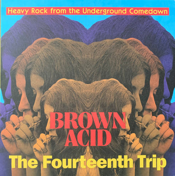 Brown Acid - Fourteenth Trip - Various Artists
