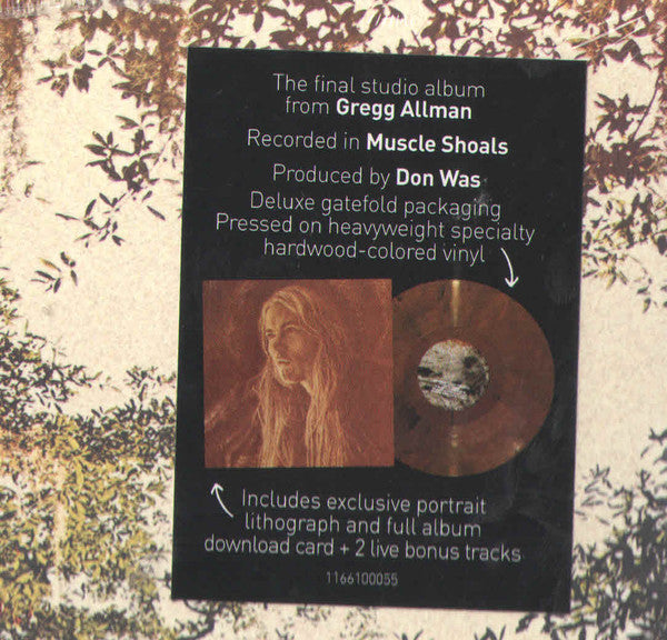 Southern Blood - Gregg Allman