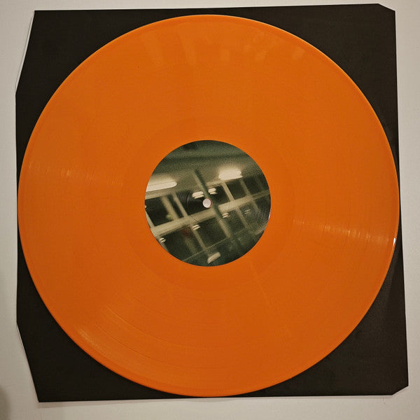 Apricot Princess - Rex Orange County