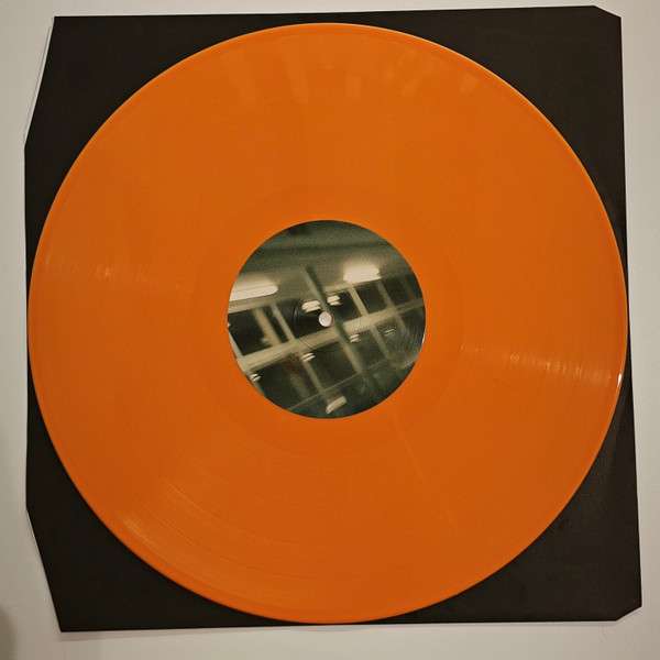 Apricot Princess - Rex Orange County
