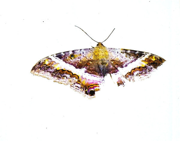To Pimp A Butterfly - Lamar, Kendrick