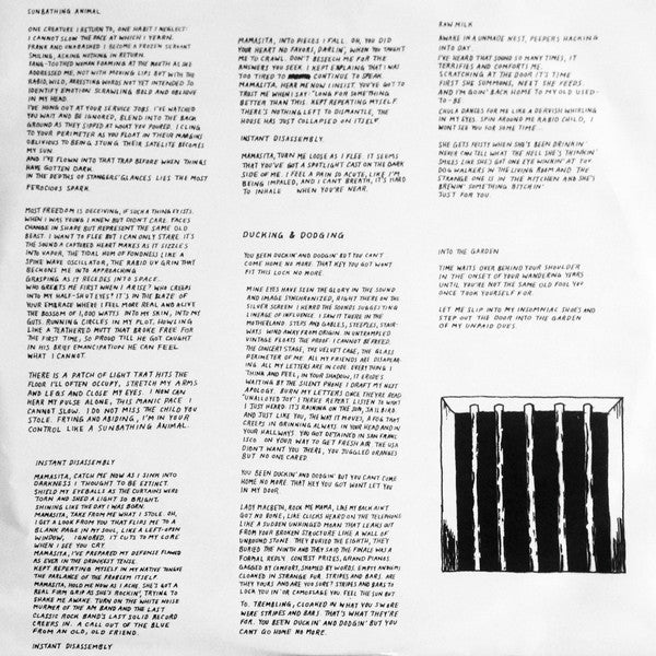 Sunbathing Animal - Parquet Courts