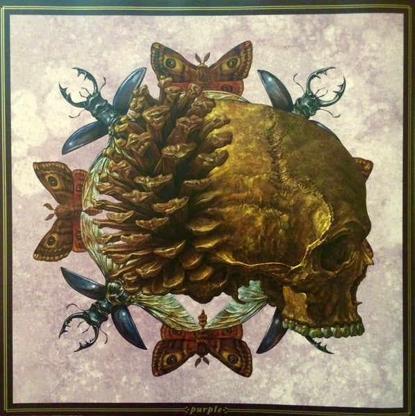 Purple - Baroness
