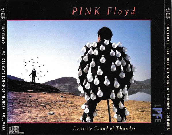 Delicate Sound Of Thunder - Pink Floyd