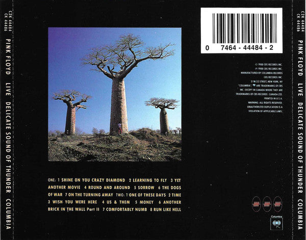 Delicate Sound Of Thunder - Pink Floyd