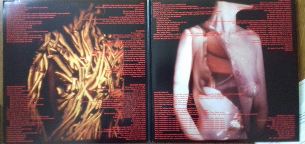 Goat (Deluxe) - Jesus Lizard, The