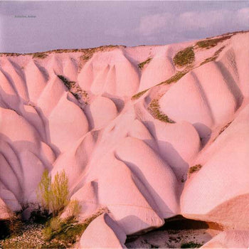 Amber [Vinyl] - Autechre
