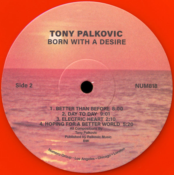 Born With A Desire - Palkovic, Tony