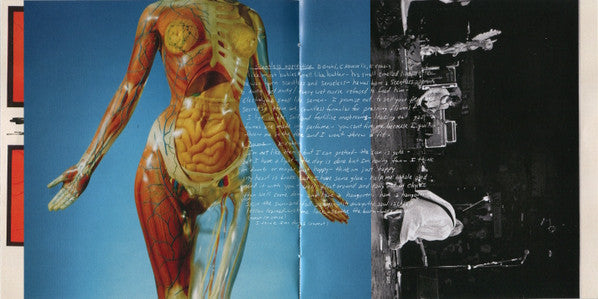 In Utero (30th Anniversary) - Nirvana