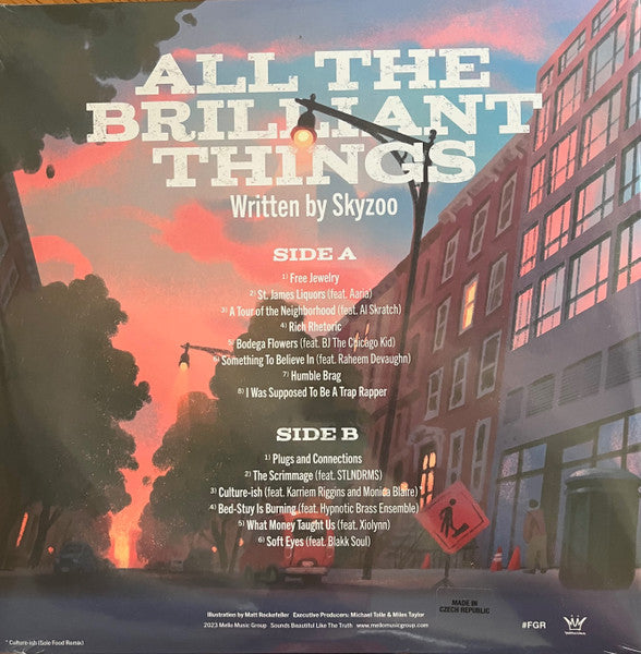 All The Brilliant Things - Skyzoo