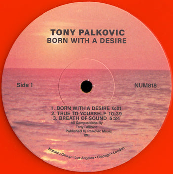 Born With A Desire - Palkovic, Tony