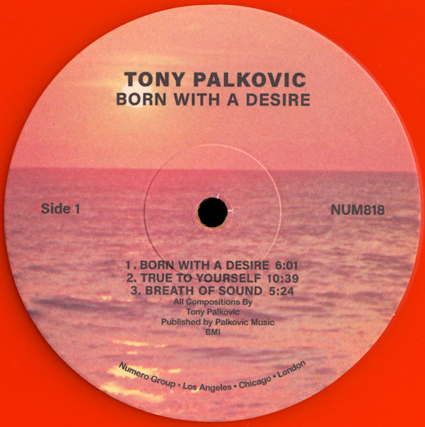 Born With A Desire - Palkovic, Tony