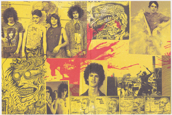 The Fearless Freaks - Flaming Lips, The