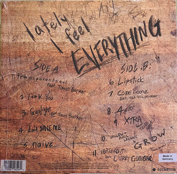 Lately I Feel Everything - Willow