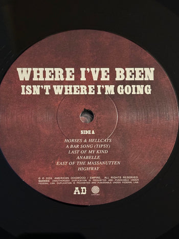 Where I've Been, isn't Where I'm Going - Shaboozey