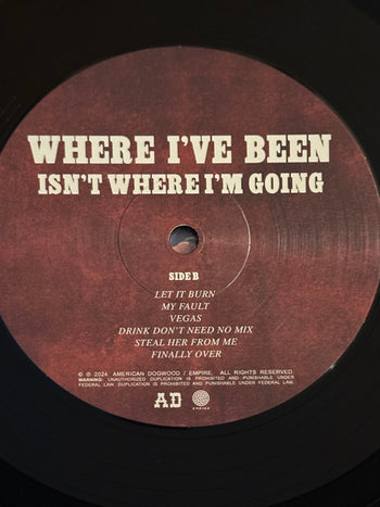 Where I've Been, isn't Where I'm Going - Shaboozey