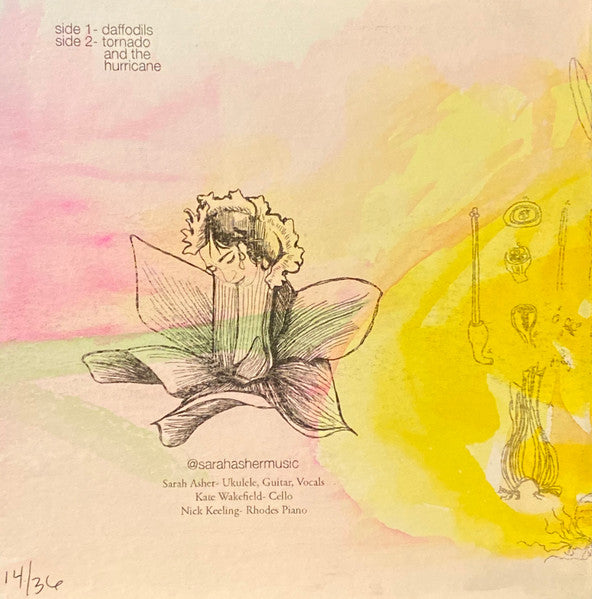 Daffodils - Asher, Sarah