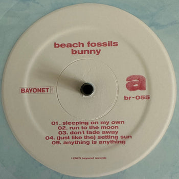 Bunny - Beach Fossils