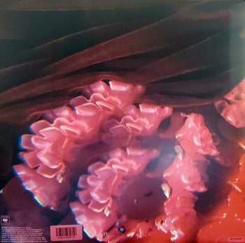 Pink Elephant - Arcade Fire