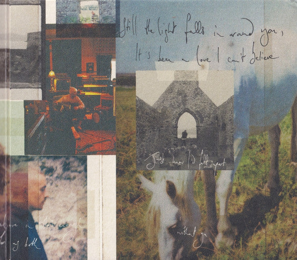The Weight of the Woods - Kennedy, Dermot