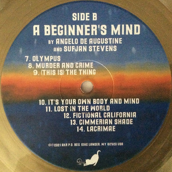 A Beginner's Mind - Stevens, Sufjan & Angelo De Augustine