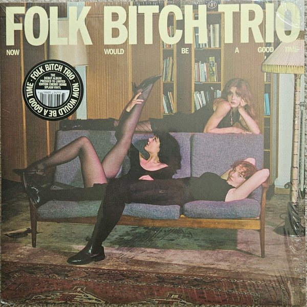 Now Would Be A Good Time - Folk Bitch Trio