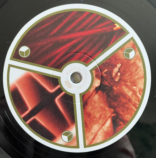 Selected Ambient Works Volume Ii - Aphex Twin