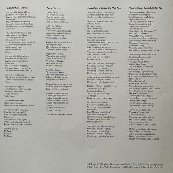 Born Horses - Mercury Rev