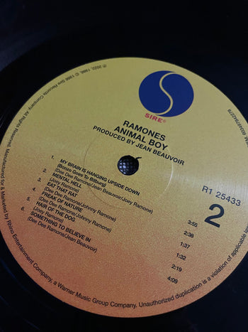 Animal Boy - Ramones