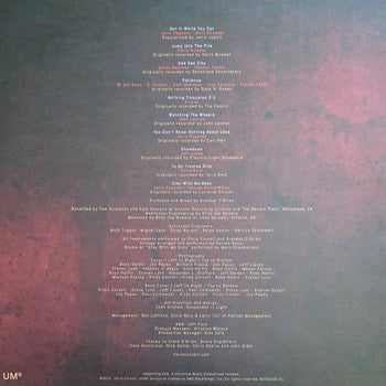 No One Sings Like You Anymore - Cornell, Chris