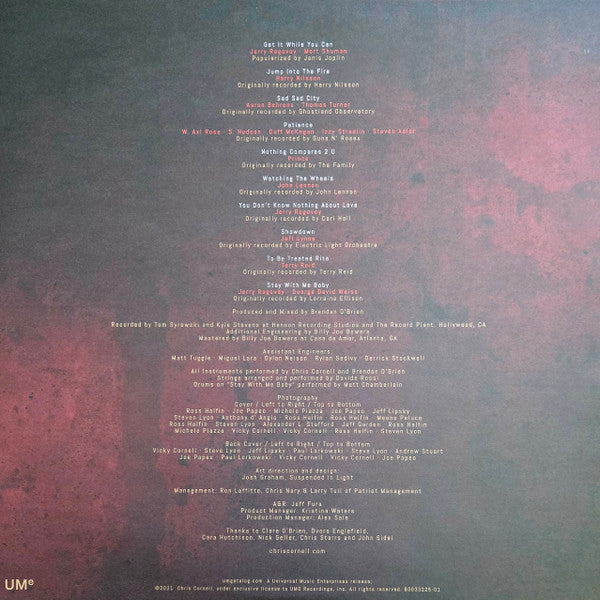 No One Sings Like You Anymore - Cornell, Chris