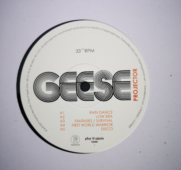 Projector - Geese