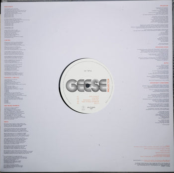 Projector - Geese