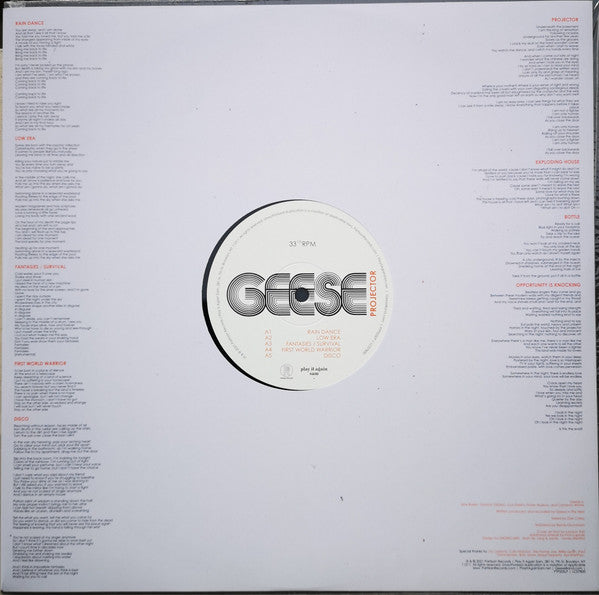 Projector - Geese