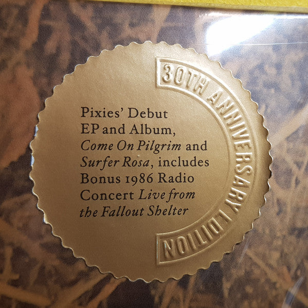 Come On Pilgrim... It's Surfer Rosa - Pixies