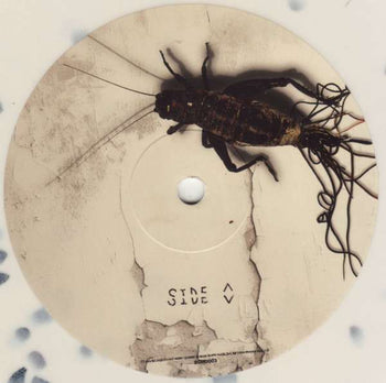The Above - Code Orange