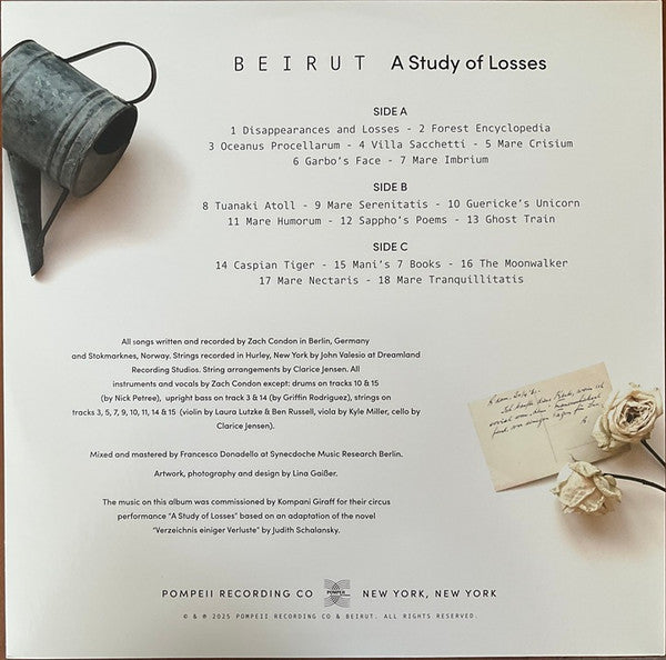 A Study of Losses - Beirut