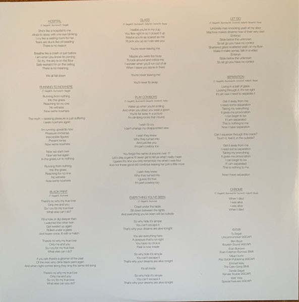 Chrome - Ty Segall [LP]