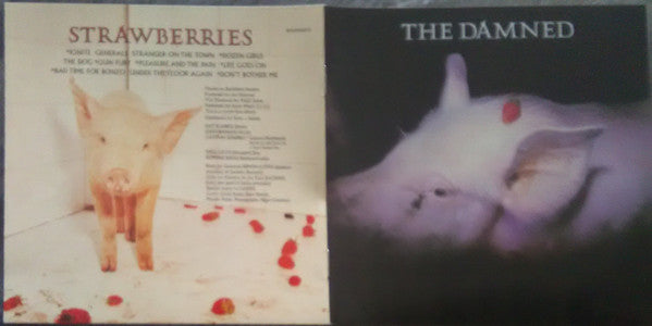 Strawberries - Damned