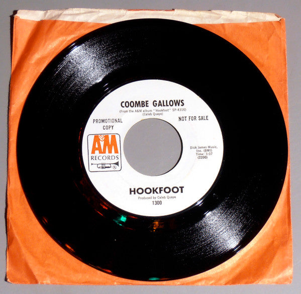 Don'T Let It Bring You Down - Hookfoot