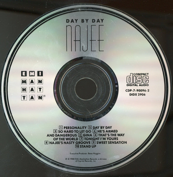 Day By Day - Najee