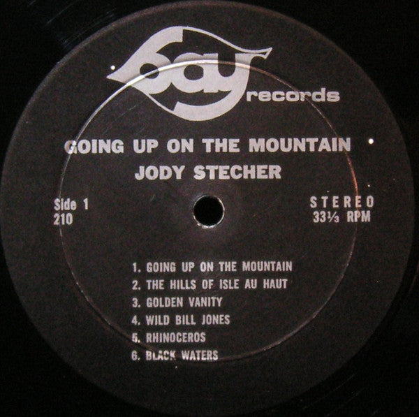 Going Up On The Mountain - Stecher, Jody