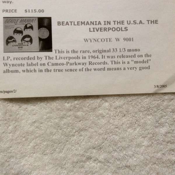 Beatle Mania! In The Usa - Liverpools, The