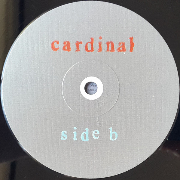 Cardinal - Pinegrove